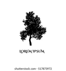 Vector illustration of a hand drawn sketched tree. Simple tree logo concept.