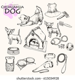 Vector  illustration; hand drawn sketched Chihuahua dogs with supplies