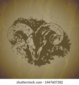 Vector illustration of hand drawn skull ram with grunge elements on vintage background. Sketch in sepia color. For you design, print, tattoo or magic craft.