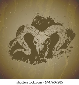 Vector illustration of hand drawn skull wild ram with grunge elements on vintage background. Sketch in sepia color. For you design, print, tattoo or magic craft.