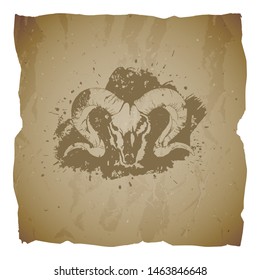 Vector illustration of hand drawn skull wild ram and grunge elements on old torn edges background. Texture of old paper. Sketch in sepia color. For you design, print, tattoo or magic craft.