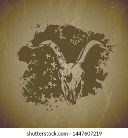 Vector illustration of hand drawn skulls goat with grunge elements on vintage background. Sketch in sepia color. For you design, print, tattoo or magic craft.