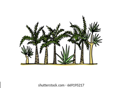 Vector illustration of hand drawn Southern landscape palm trees arranged in a line. Ink drawing, graphic style. Beautiful design elements.