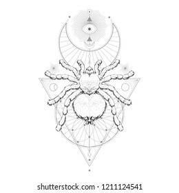Vector illustration with hand drawn spider tarantula and Sacred geometric symbol on white background. Abstract mystic sign. Black linear shape. For you design and magic craft.