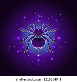 Vector illustration with hand drawn spider tarantula and Sacred geometric symbol against the starry sky. Abstract mystic sign. Linear shape. For you design: tattoo, print, posters, t-shirts, textiles.