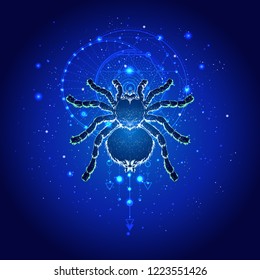 Vector illustration with hand drawn spider tarantula and Sacred geometric symbol against the starry sky. Abstract mystic sign. Linear shape. For you design.