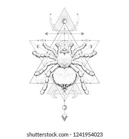 Vector illustration with hand drawn spider tarantula and Sacred geometric symbol on white background. Abstract mystic sign. Black linear shape. For you design and magic craft.