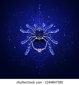 Vector illustration with hand drawn spider tarantula and Sacred geometric symbol against the starry sky. Abstract mystic sign. Linear shape. For you design: tattoo, print, posters, t-shirts.