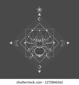 Vector illustration with hand drawn spider tarantula and Sacred geometric symbol on black vintage background. Abstract mystic sign. White linear shape. For you design and other.