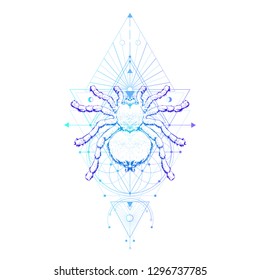 Vector illustration with hand drawn spider and Sacred geometric symbol on white background. Abstract mystic sign and insect. Colored linear shape. 