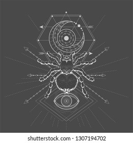 Vector illustration with hand drawn Spider Tarantula and Sacred symbol on black background. Abstract mystic sign. White linear shape. For you design, tattoo or magic craft.