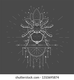 Vector illustration with hand drawn Spider Tarantula and Sacred symbol LOTUS on black background. Abstract mystic sign. White linear shape. For you design, tattoo or magic craft.