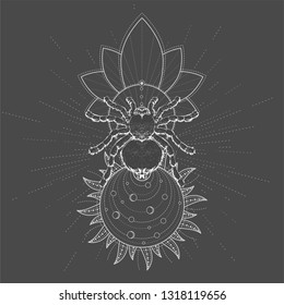 Vector illustration with hand drawn Spider Tarantula and Sacred symbol LOTUS on black background. Abstract mystic sign. White linear shape. For you design, tattoo or magic craft.
