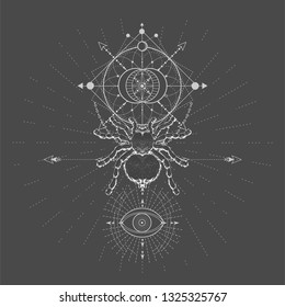 Vector illustration with hand drawn Spider Tarantula and Sacred geometric symbol on black background. Abstract mystic sign. White linear shape. For you design, tattoo or magic craft.