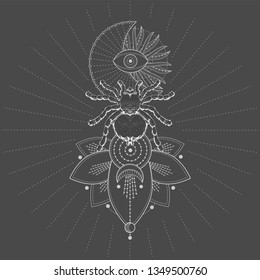 Vector illustration with hand drawn Spider Tarantula and Sacred symbol LOTUS on black background. Abstract mystic sign. White linear shape. For you design, tattoo or magic craft.