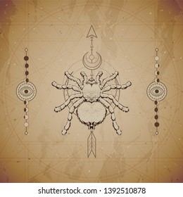 Vector illustration with hand drawn Spider and Sacred geometric symbol on vintage paper background. Abstract mystic sign. Sepia linear shape. For you design and magic craft.