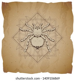 Vector illustration with hand drawn Spider and Sacred geometric symbol on old paper background with torn edges. Abstract mystic sign. Sepia linear shape. For you design and magic craft.