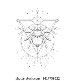Vector illustration with hand drawn spider and Sacred geometric symbol on white background. Abstract mystic sign.