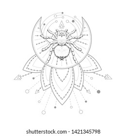 Vector illustration with hand drawn spider and Sacred geometric symbol on white background. Abstract mystic sign.