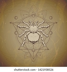 Vector illustration with hand drawn Spider and Sacred geometric symbol on vintage paper background. Abstract mystic sign. Sepia linear shape. For you design and magic craft.