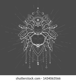 Vector illustration with hand drawn Spider Tarantula and Sacred symbol LOTUS on black background. Abstract mystic sign. White linear shape. For you design, tattoo or magic craft.