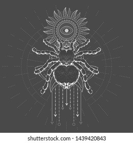 Vector illustration with hand drawn Spider Tarantula and symbol Sun on black background. Abstract mystic sign. White linear shape. For you design, tattoo or magic craft.