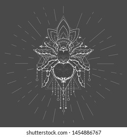 Vector illustration with hand drawn Spider Tarantula and Sacred symbol LOTUS on black background. Abstract mystic sign. White linear shape. For you design, tattoo or magic craft.