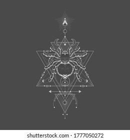 Vector illustration with hand drawn spider tarantula and Sacred geometric symbol on black vintage background. Abstract mystic sign. White linear shape. 