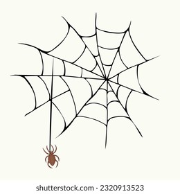Vector illustration of a hand drawn spider and a web.