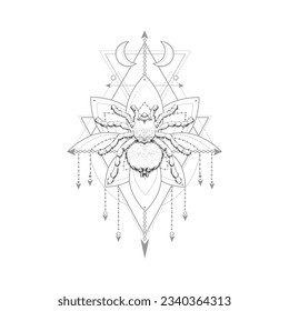 Vector illustration with hand drawn spider and Sacred geometric symbol on white background. Abstract mystic sign. Black linear shape.