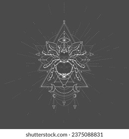 Vector illustration with hand drawn Spider Tarantula and Sacred symbol LOTUS on black background. Abstract mystic sign. White linear shape.