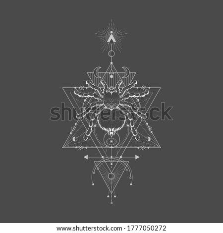 Vector illustration with hand drawn spider tarantula and Sacred geometric symbol on black vintage background. Abstract mystic sign. White linear shape. 