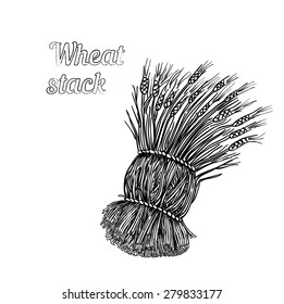 Vector illustration of hand drawn stack of wheat - engraved illustration style detailed drawing for brewing and harvesting theme