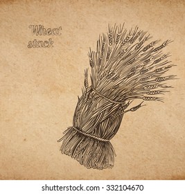 Vector illustration of hand drawn stack of wheat - engraved on old paper illustration style detailed drawing for brewing and harvesting theme