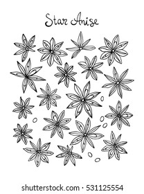 Vector illustration of with hand drawn star anise. Beautiful food design elements, perfect for any business related to the food industry.