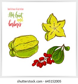 Vector illustration of hand drawn star fruit and berberis. Colorful and juicy.
