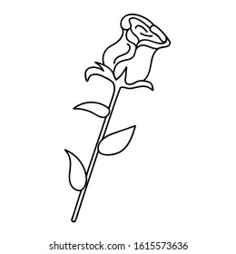 vector Illustration in hand drawn style with rose. Isolated doodle icon of flower on white background in cartoon style, concept of love, dating, valentine's day