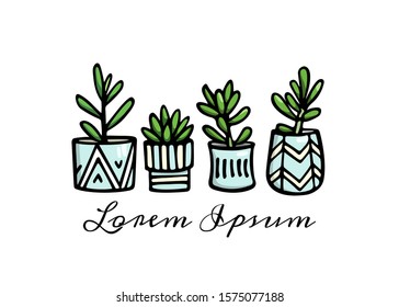 Vector illustration of hand drawn succulents in painted pots. Ink drawing, graphic style. Beautiful design elements.