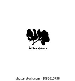 Vector illustration of hand drawn sweet pea twig. Ink drawing, graphic style, beautiful floral design element