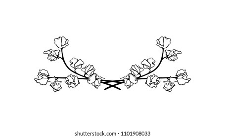 Vector illustration of hand drawn sweet pea laurel. Ink drawing, graphic style, beautiful floral design element