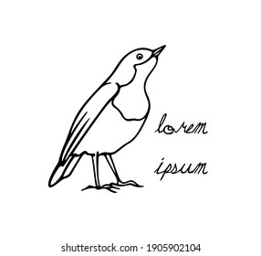 Ilustración vectorial de un pequeño pájaro dulce dibujado a mano hecho con tinta. Elementos de diseño animal perfecto, plantilla de logotipo