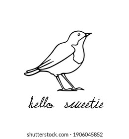 Vector illustration of hand drawn sweet small bird made with ink. Perfect animal design elements, logo template