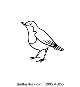 Vector illustration of hand drawn sweet small bird made with ink. Perfect animal design elements, logo template