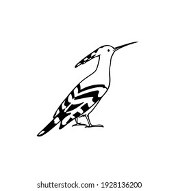 Vector illustration of hand drawn sweet Hoopoe. Ink drawing, graphic style. Beautiful animal design elements.