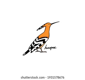 Vector illustration of hand drawn sweet Hoopoe. Ink drawing, graphic style. Beautiful animal design elements.