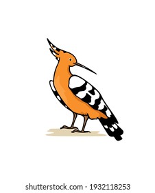 Vector illustration of hand drawn sweet Hoopoe. Ink drawing, graphic style. Beautiful animal design elements.
