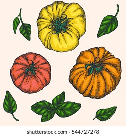 Vector illustration - hand drawn tomatoes and basil, set with different unique shapes. Illustration for recipe, menu, apparel, textile. Isolated on white background.