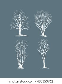 Vector illustration of hand drawn trees. Hand drawn bare trees set. Beautiful floral design elements.