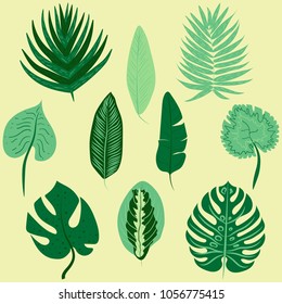 Vector illustration. Hand drawn tropical leaf set