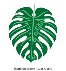 Vector illustration. Hand drawn tropical leaf. 